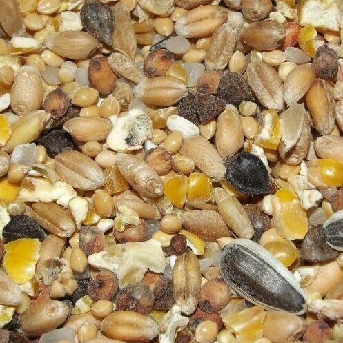 Tarifs des offres 1 melange pour oiseaux de la nature au kg edited 1