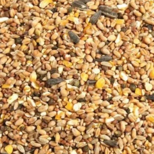 100 SACS DE 4 KG DE MELANGE DE GRAINES POUR OISEAUX DU CIEL